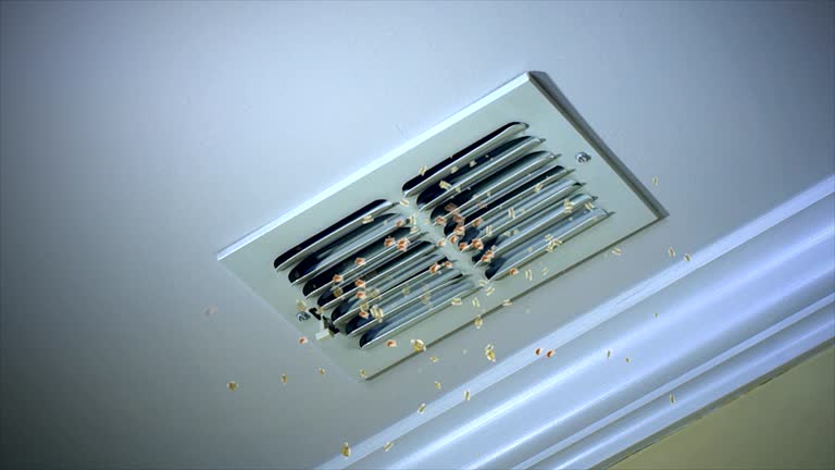 Best Affordable HVAC Duct Cleaning  in Bridgeport, WV