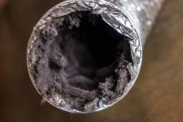 Best Duct Cleaning for Homes  in Bridgeport, WV